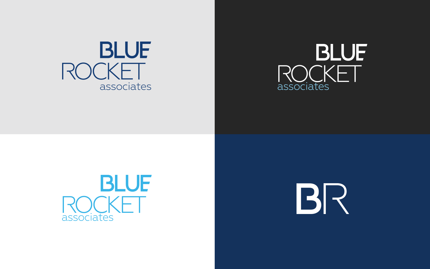 BlueRocket Associates - project visual