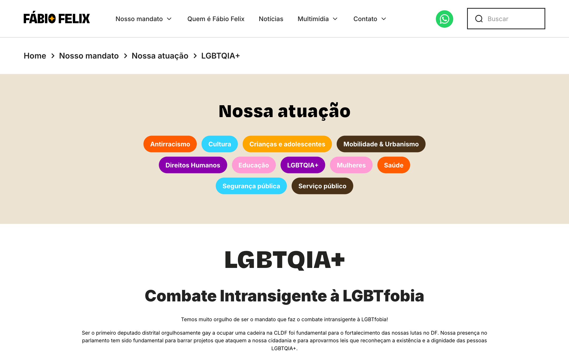 The LGBTQIA+ focus area page, one of eleven themed policy pages, showing the full color-coded taxonomy of areas
